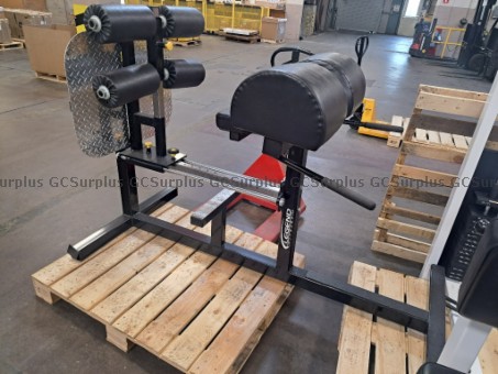 Picture of Glute and Hamstring Machine