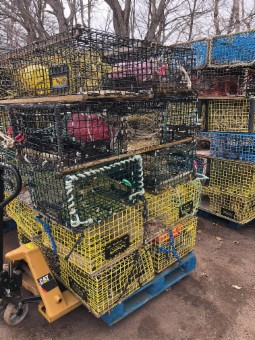 Picture of Lot of Lobster Traps