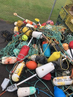 Picture of Lot of Ropes and Buoys