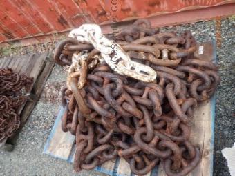 Picture of 8'' Chain