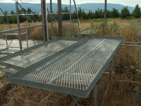 Picture of Various Metal Greenhouse Table