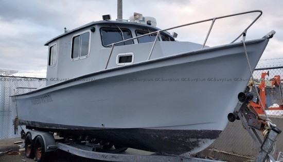 Picture of Fiberglass Boat, Motors, and T