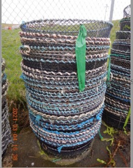 Picture of 25 Commercial Prawn Traps
