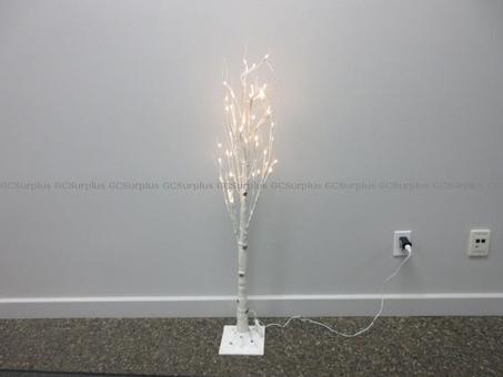Picture of Lighted Birch Tree