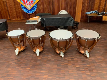 Picture of Ludwig Dresden Timpanis