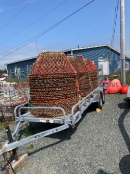 Picture of Crab Pots and Associated Ropes