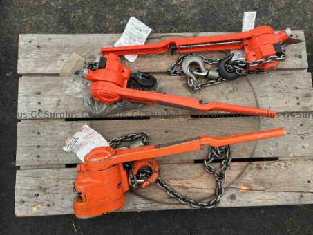 Picture of Lot of 3 Used Chain Hoists