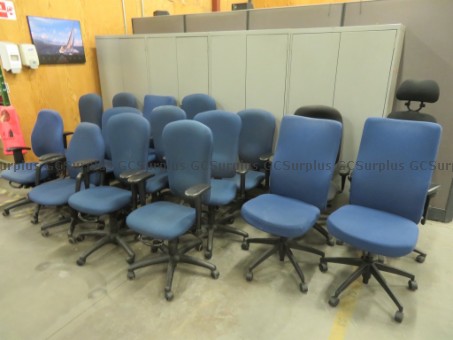 Picture of 16 Office Chairs