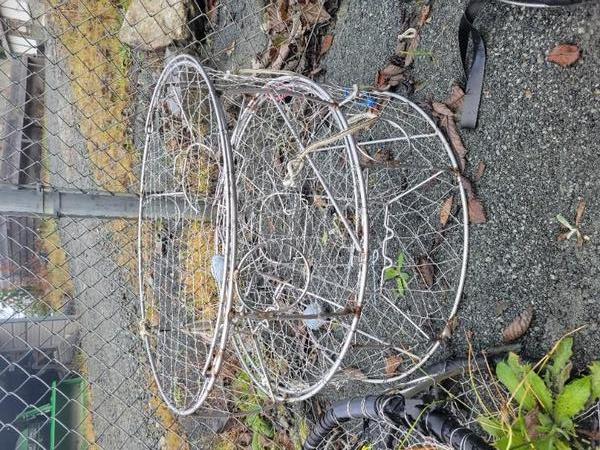 Picture of Assorted Crab and Prawn Traps