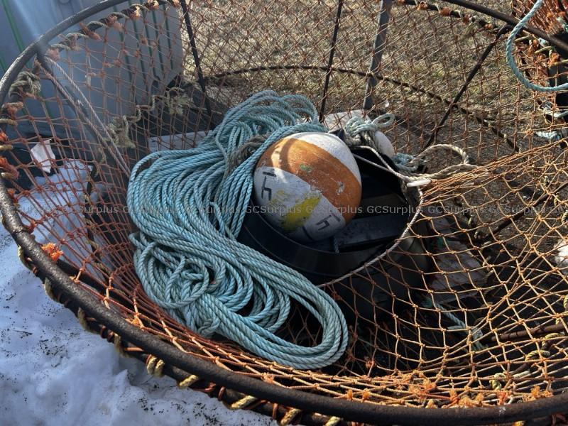 Picture of 1 Lot of 5 Snow Crab Traps and