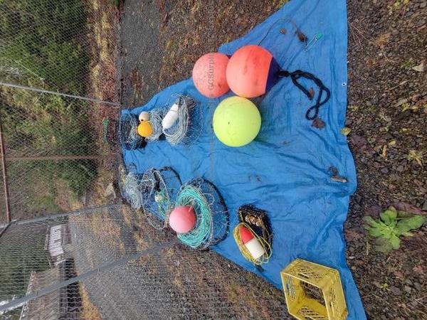 Picture of Assorted Crab and Prawn Traps