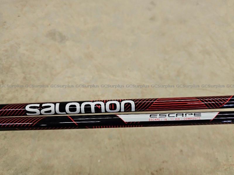 Picture of Salomon Escape Ski Poles