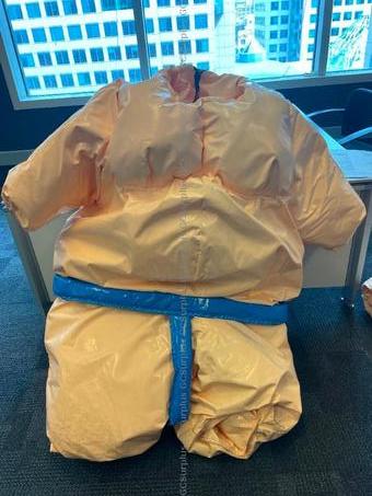 Picture of Sumo Suits