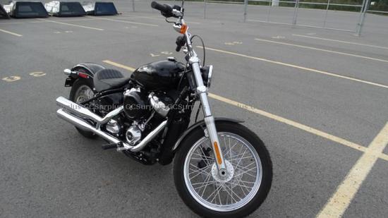 Picture of 2021 Harley-Davidson Softail (