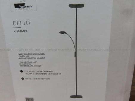 Picture of Lumirama 2 LED Light Floor Lam