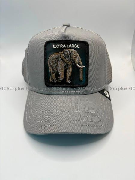 Photo de Casquette gris clair Goorin Br