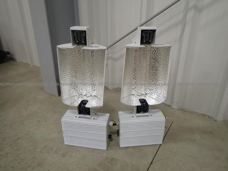 Picture of 1000w Pro Remote DE Lighting S