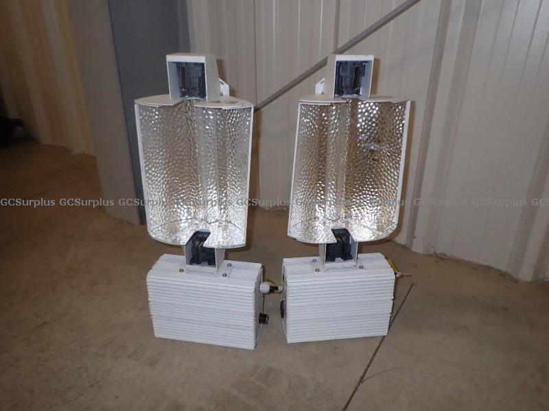 Picture of 1000w Pro Remote DE Lighting S